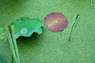 美国娱乐软件协会警告：加征关税将导致游戏价格上涨